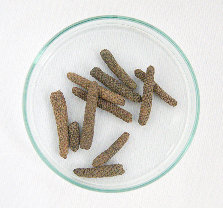 ヒハツ 10g