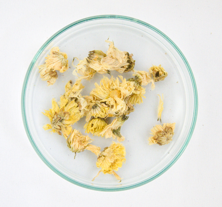 菊花(抗菊花) 10g